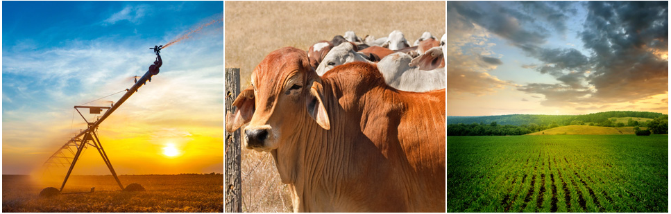 Agricultural Specialist provides management, advice of assets for all stakeholders in rural Australia.