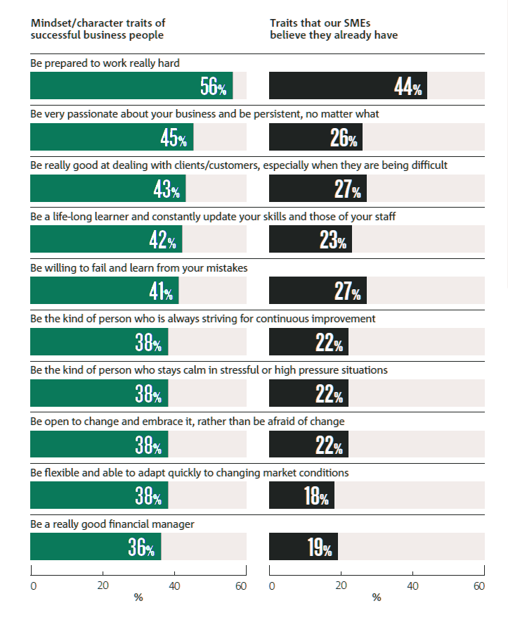 Measuring SME business success