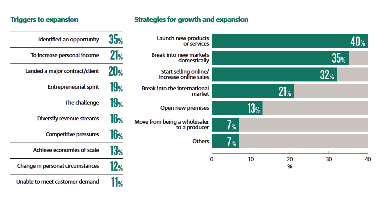 SME Outlook for revenue and profitability.