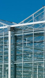 Corporate Brokers News: Agricultural and Horticultural Greenhouses