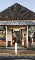 Tenterfield Saddler Est 1870 – World Famous Ringer! Has a New Owner.